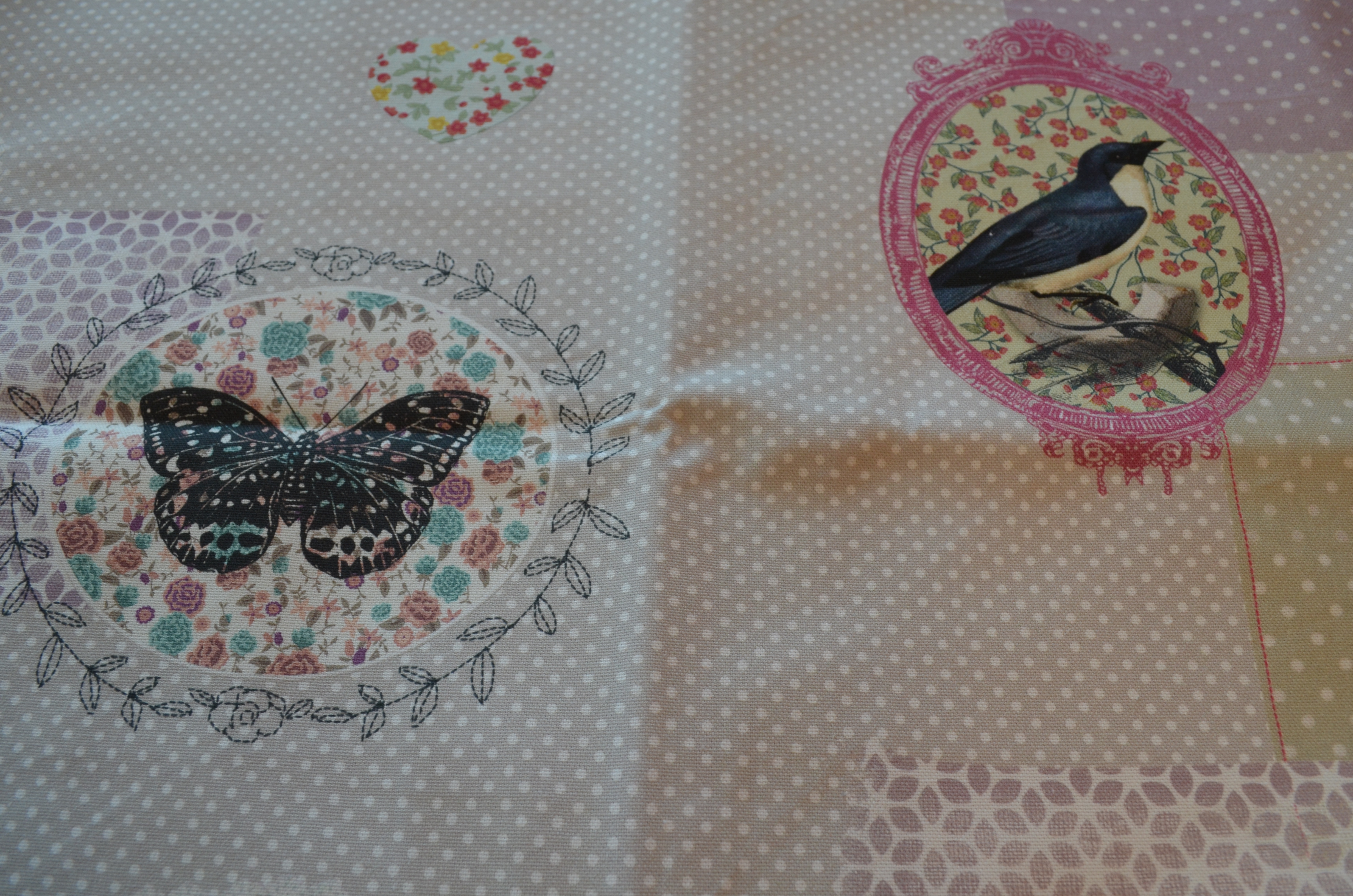 Oiseaux et papillons
