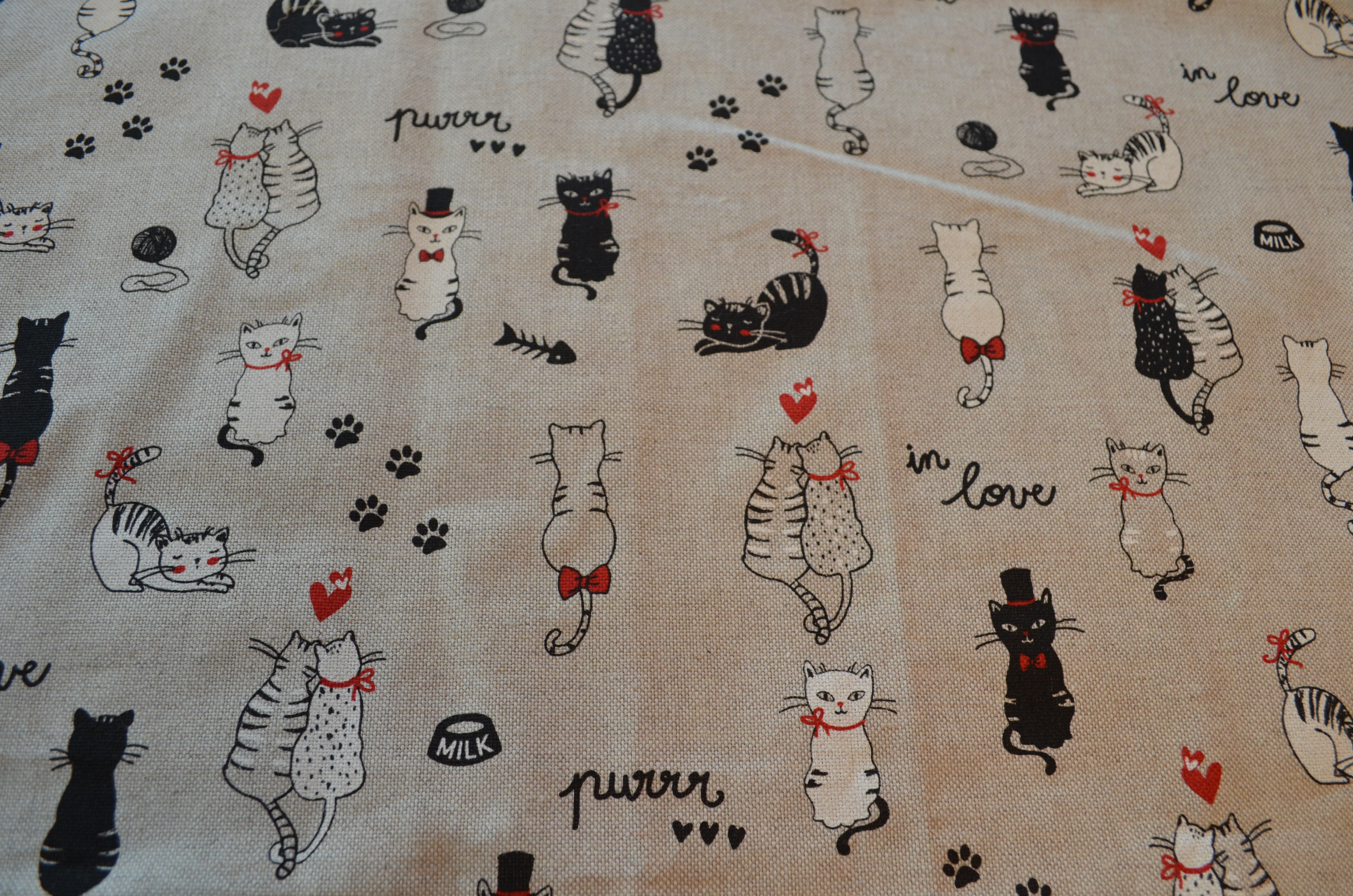 Chats noirs et blancs