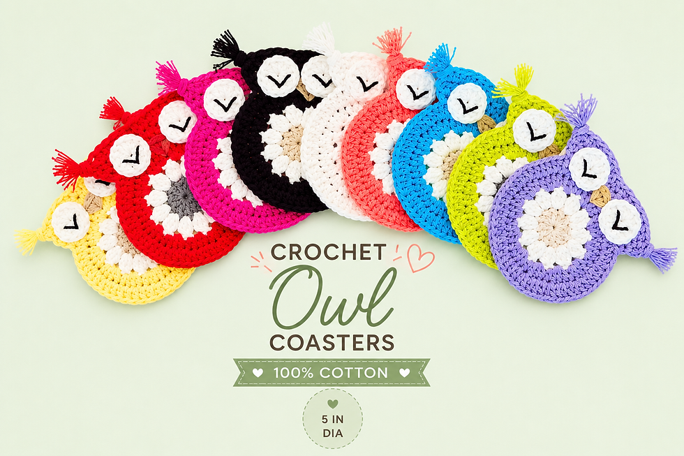 Crochet Owl Colorful Coasters