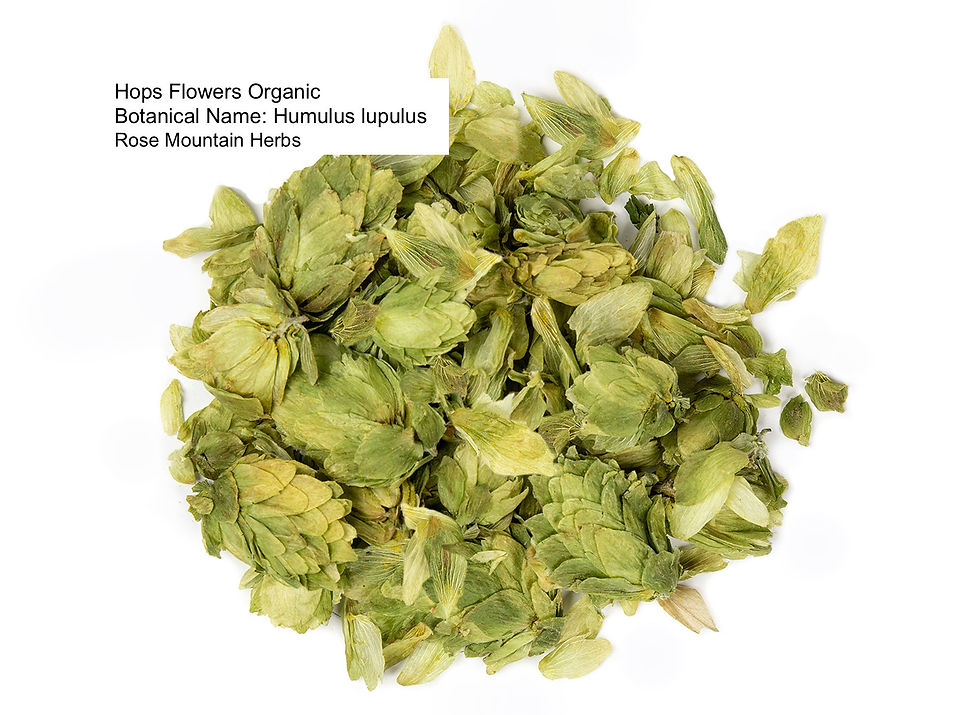 Thumbnail: Hops Herb