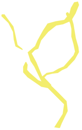 Service Areas-04.png