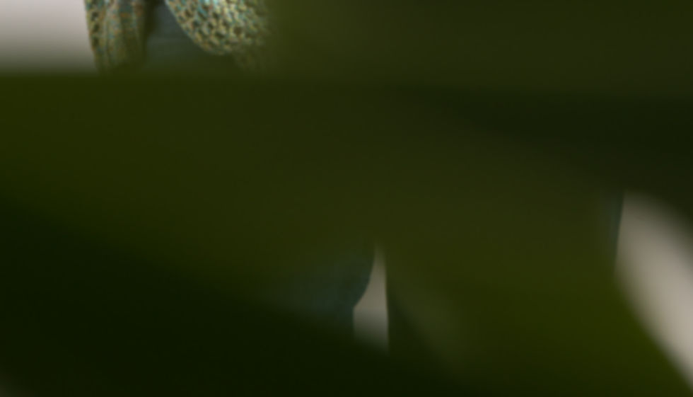 Primavera.Estate 2425_11.jpg