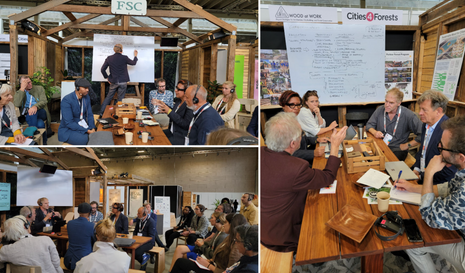 Systemic Collaboration from Copenhagen to the Selva Maya: Pilot Projects 2023 Summer/Fall Newsletter