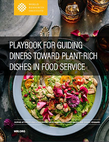 Cool Food Pledge Behavioural Playbook