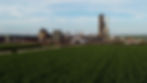 Sugar Cane Wide.jpg