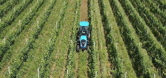 Tractor Landini. Rogers y Cia Ltda.