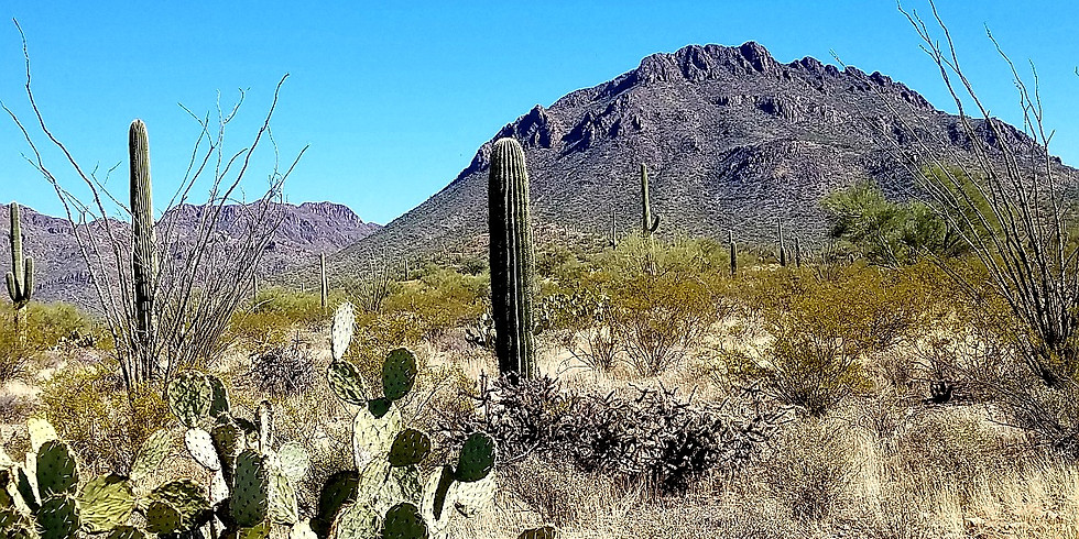 Ironwood Picnic Area Score-O