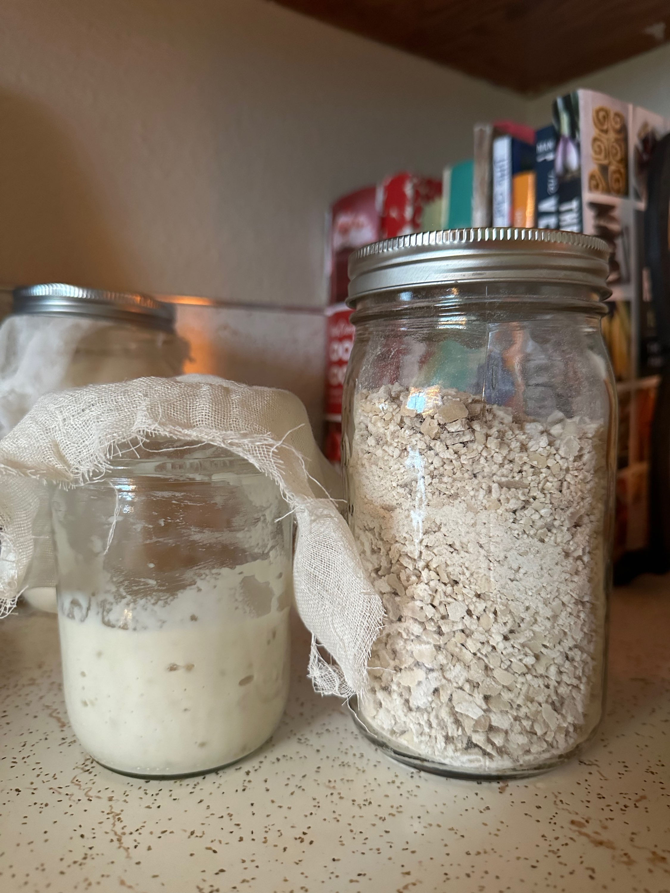 Dehydrated Sourdough Start