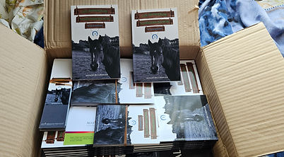 First glimpse of The Horses of Saddlers Ranch: Black Knight in print