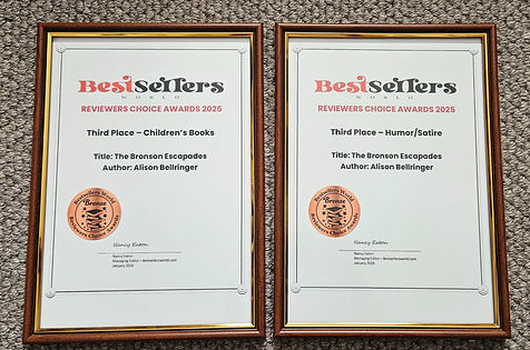 Recognition from Bestsellers World Book Awards