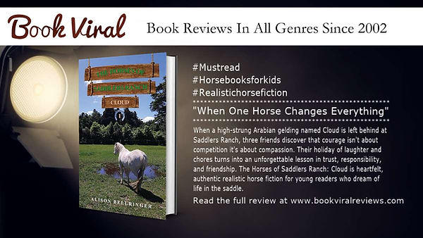 Review excerpt and graphic from BookViral Reviews