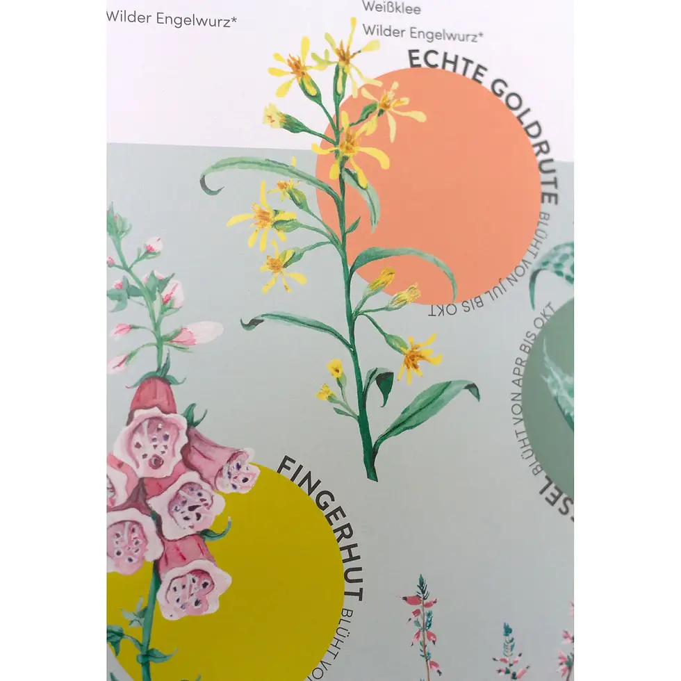 Miniaturbild: SAISONKALENDER FÜR BLUMEN