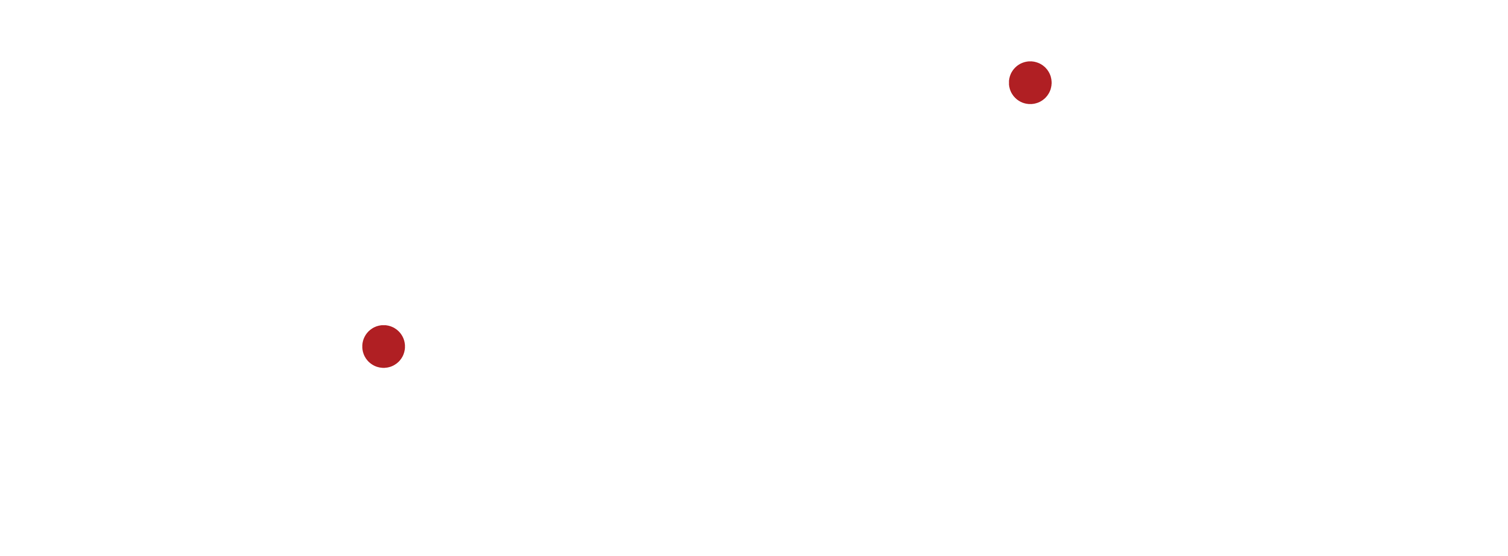 ZAHN LOGO FINAL LINEAR(WHITE).png