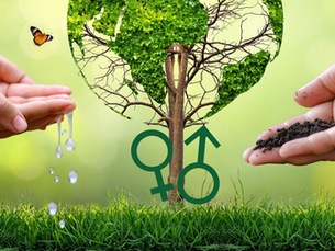 Do All-Women Shortlists, AWS, have a place in Green Sector Leadership? 