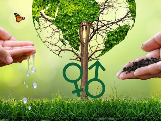 Do All-Women Shortlists, AWS, have a place in Green Sector Leadership? 