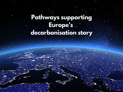 The Crucial Role of Government Policy and Partnerships in Decarbonisation 