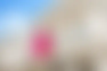 Institute of Directors — 116 Pall Mall. A Neoclassical building with white columns and ornate details. A red flag with "IoD" text waves in front, set against a blue sky.