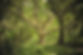 ZEN%203_edited.jpg
