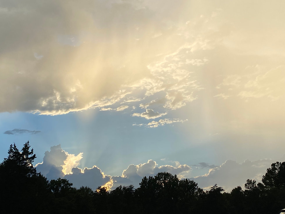 IMG_0926.jpeg
