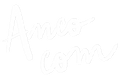 Anco Com Ancolie Guns Community Manager_
