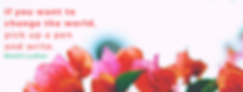 WRITE + SHINE (2).png