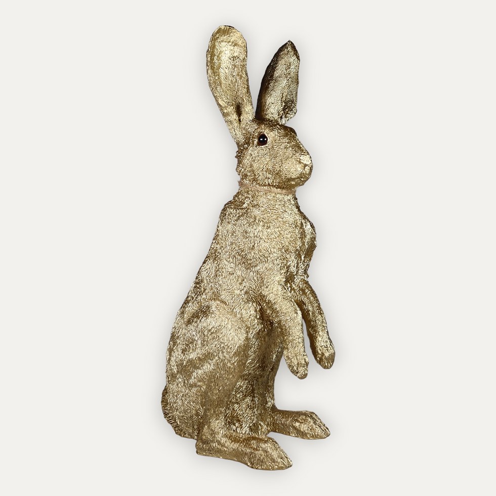 Thumbnail: Sitting Hare Grey