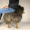 Thumbnail: The Sheep - Atlantic Collection - Stool