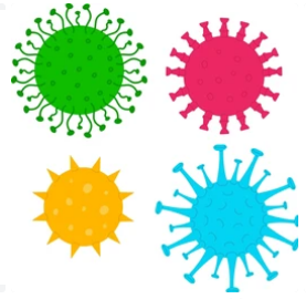 Adenosine Deaminase (ADA)