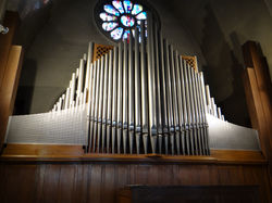 DSC00310.JPG