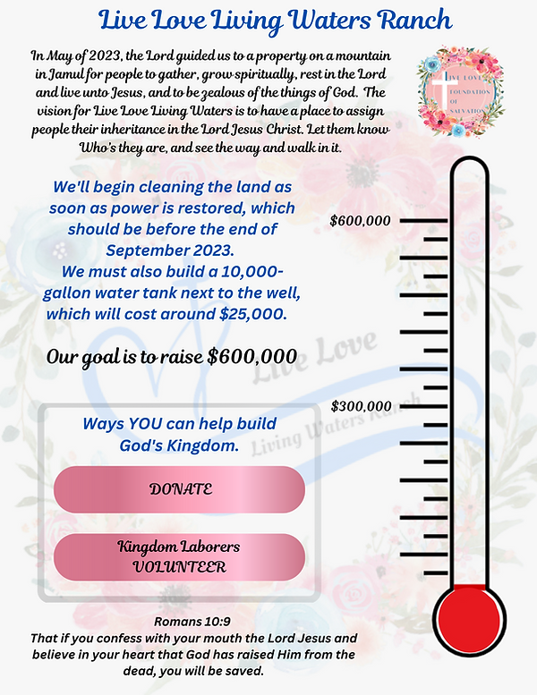 Live Love LW Fundraiser Thermometer  (1).png