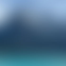 How to Lead with Values without Sacrificing Results