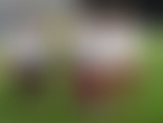 Match Report: Worksop Town 0-3 South Shields