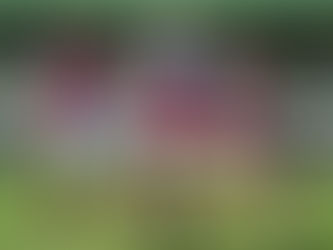 McDonald: "It's the right time to come back" to SSFC Women