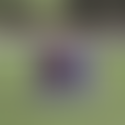 Wootten claws back point for determined SSFC Women against Alnwick Town