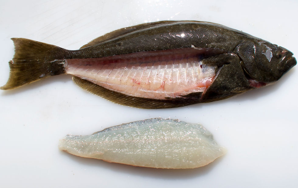 Thumbnail: California Halibut Fillet (1lb)