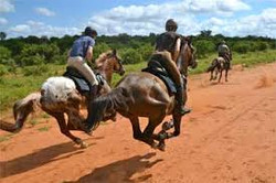 Africa