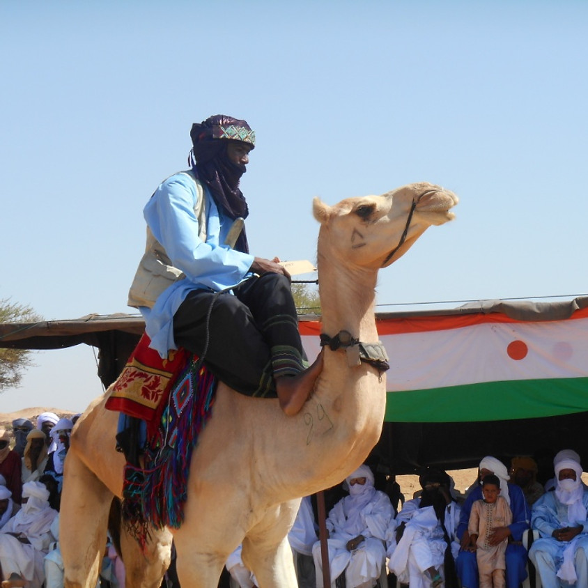 Séminaire webinaire du Camel Polo Africain