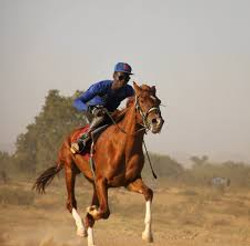 Cameroun