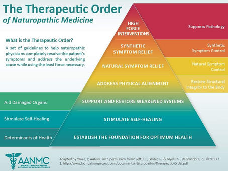 The Naturopathic Therapeutic Order: A Smarter Sequence for Healing