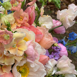 Spring Pastels Wedding