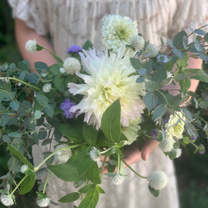 4a70ddcc-fa27-431c-9966-931ab44cb657_1_201_a.jpeg