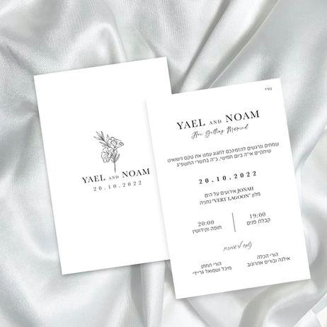 צילום מסך 2022-04-26 ב-9.514.54-Recovered.jpg