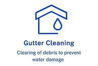 gutter clearing