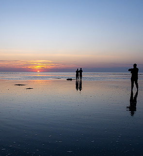 DSC_9465-Enhanced-NR_Nicole_Watkins.jpg