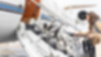 Nuco Pet Charter 2 - dalmation.jpg