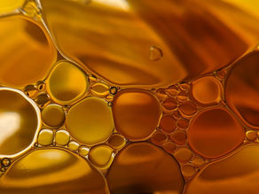 Squalane Exposed: The Skincare Ingredient Animal Lovers Should Be Aware Of