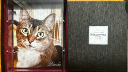 キャンバスプリント+アクリルカバー