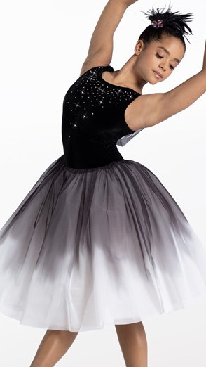 13293-Ballet3.jpeg