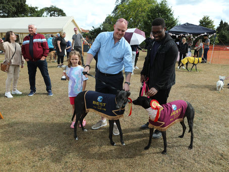 ‘Massive success’: Heybridge dog show raises thousands for rescued greyhounds – pictures