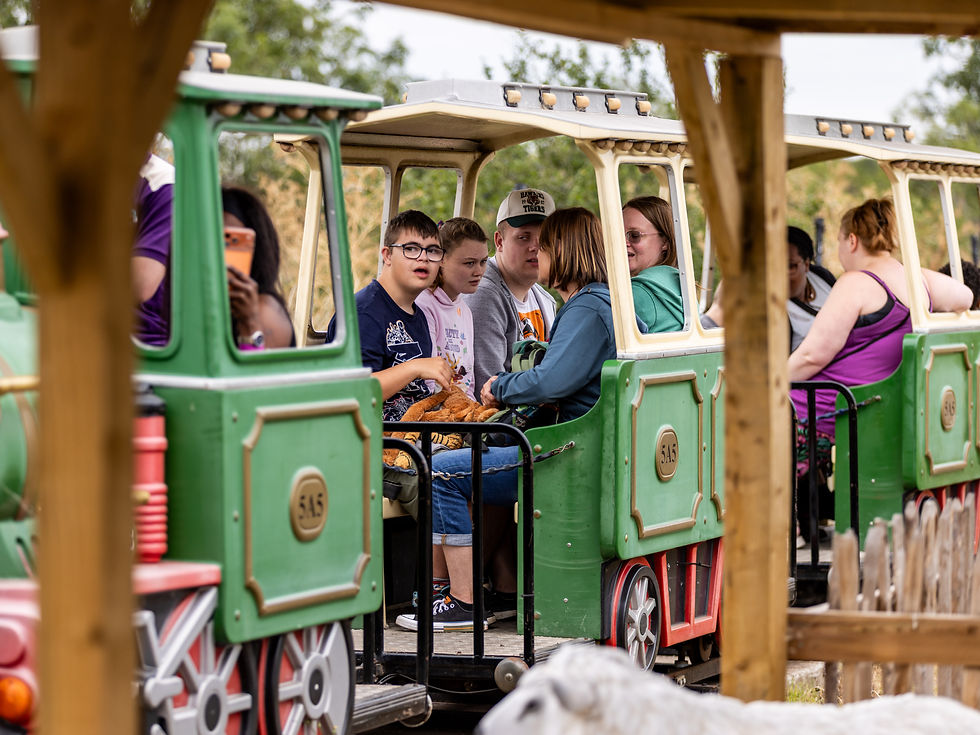 People on a train ride.